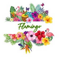 Flamingo Disco Club