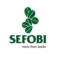 SEFOBI S.R.L.
