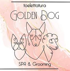 Golden dog