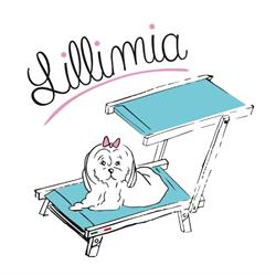 Lillimia Srl