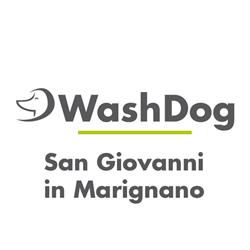Wash Dog San Giovanni in Marignano