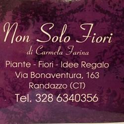 Non Solo Fiori