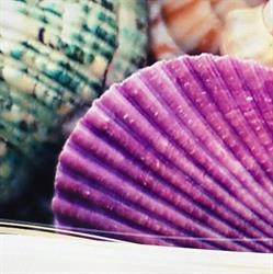 Agenzia Summerholiday di Viel Fabiola