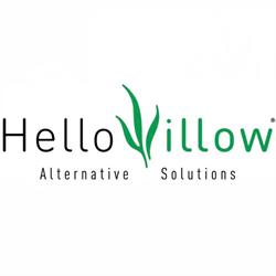 HelloWillow