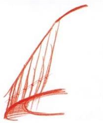 Geom. Aldo Borin