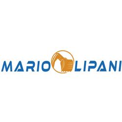 Mario Lipani Movimento Terra