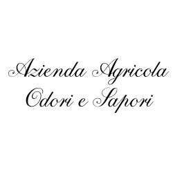 Odori e Sapori