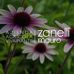 Vivaio Zanelli