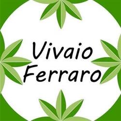 Vivaio Ferraro