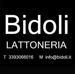 Bidoli Lattoneria srl