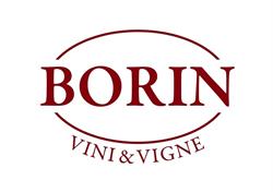 Borin Vini e Vigne - Colli Euganei