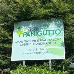 Vivai Panigutto