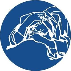 Fondazione Natalino Sapegno Onlus
