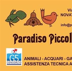 Paradiso Piccoli Amici