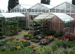 Tosco Garden Vivai