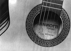 ferrarotti chitarre