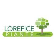 Lorefice Piante