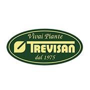 Vivai Piante Trevisan