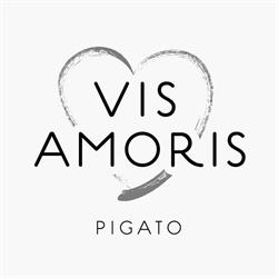 VisAmoris