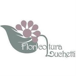 Vivaio Luchetti