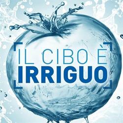 ANBI-Associazione Naz. Consorzi gestione e tutela territorio e acque irr.