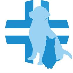Veterinario Molino