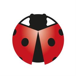 Autodemolizione Pollini Bedizzole Brescia
