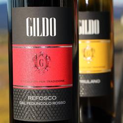 Gildo Vini