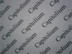 Capitolium Immobiliare