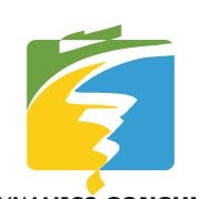 Dynamics Consult