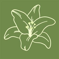 ANTOS laboratorio di cosmesi naturale