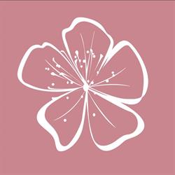 PrimoBeauty - Allenatrici di Bellezza