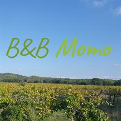 B&B  Momo