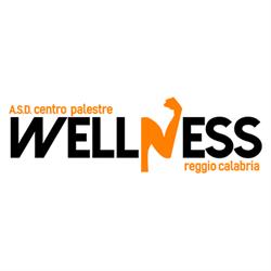 Centro Wellness Palestre