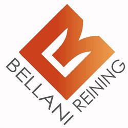 Massimo Bellani Reining