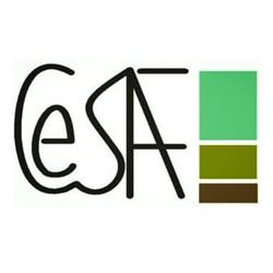 Cesaf - Studio Tecnico Associato
