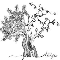 Agricampeggio Terra e Sogni