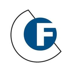 Figliuolo Consulting