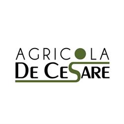 Agricola De Cesare