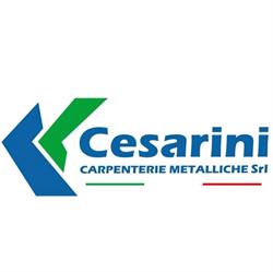 Cesarini Carpenterie Metalliche Srl