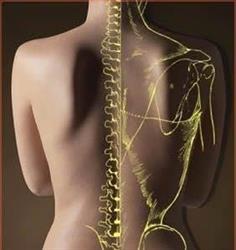 Osteopatia46