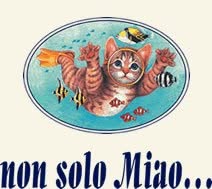 NonSoloMiao