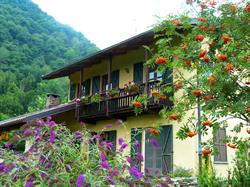 B & B Notte Stellata