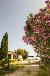 Agriturismo Finazzo