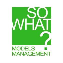 SO WHAT? Models Management