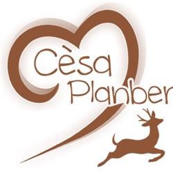 Garnì B&B Cèsa Planber, Canazei, Val di Fassa, Dolomiti