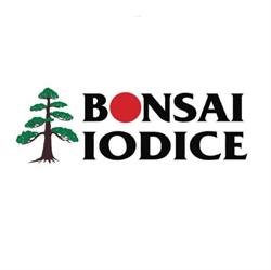 Centro Bonsai Iodice