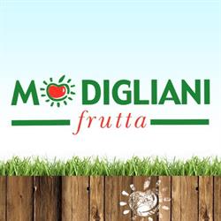 Modigliani Frutta