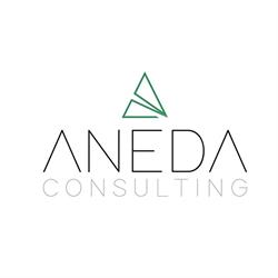 ANEDA CONSULTING Srls