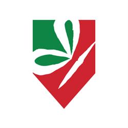 The Italian Language Institute